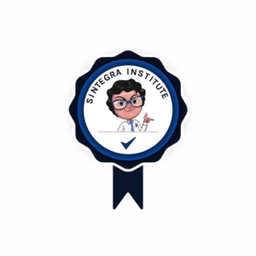 Sintegra Institute logo